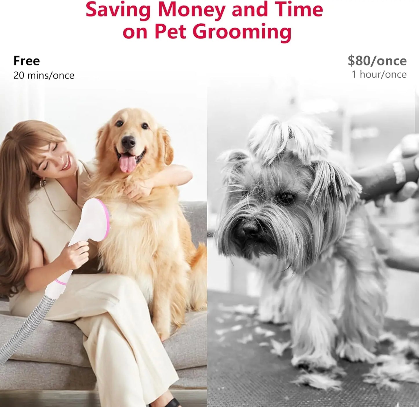 Pet Grooming Vacuum Dog Hair Vacuum Groomer Multi-Functional Pet Grooming Kits for Dogs Cats and More